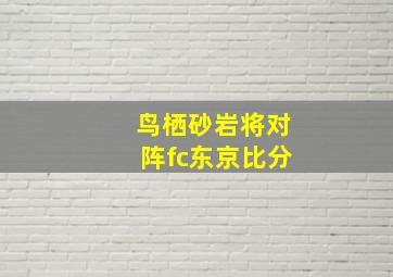 鸟栖砂岩将对阵fc东京比分