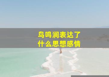 鸟鸣涧表达了什么思想感情