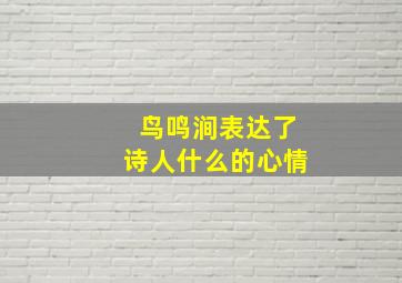 鸟鸣涧表达了诗人什么的心情