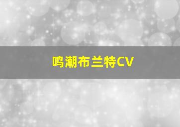 鸣潮布兰特CV