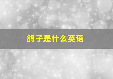 鸽子是什么英语