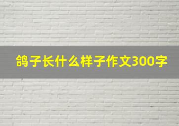 鸽子长什么样子作文300字