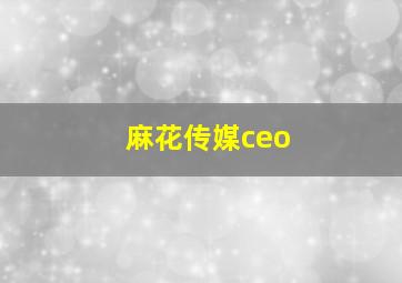 麻花传媒ceo