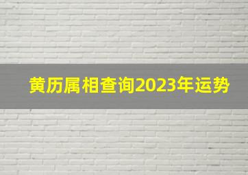 黄历属相查询2023年运势