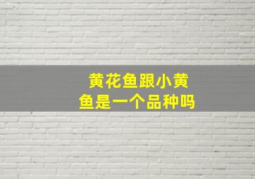 黄花鱼跟小黄鱼是一个品种吗