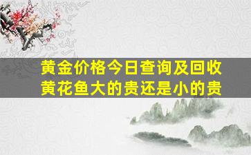 黄金价格今日查询及回收黄花鱼大的贵还是小的贵