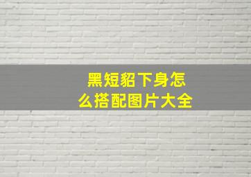 黑短貂下身怎么搭配图片大全