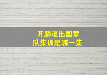 齐麟退出国家队集训是哪一集