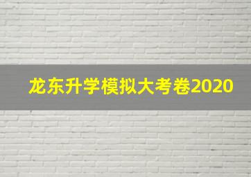 龙东升学模拟大考卷2020