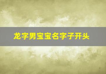 龙字男宝宝名字子开头