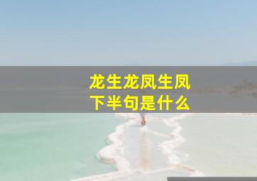 龙生龙凤生凤下半句是什么