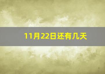 11月22日还有几天