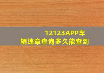 12123APP车辆违章查询多久能查到