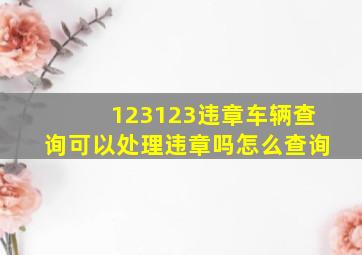 123123违章车辆查询可以处理违章吗怎么查询