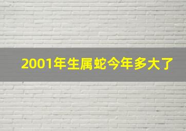 2001年生属蛇今年多大了