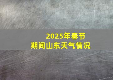 2025年春节期间山东天气情况