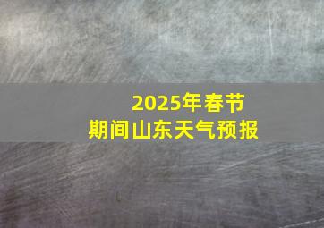 2025年春节期间山东天气预报