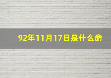 92年11月17日是什么命