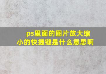 ps里面的图片放大缩小的快捷键是什么意思啊