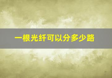 一根光纤可以分多少路