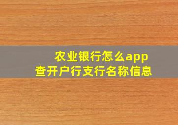 农业银行怎么app查开户行支行名称信息