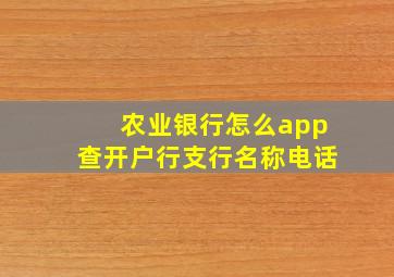 农业银行怎么app查开户行支行名称电话