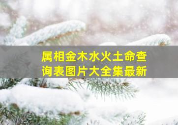 属相金木水火土命查询表图片大全集最新