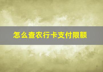 怎么查农行卡支付限额