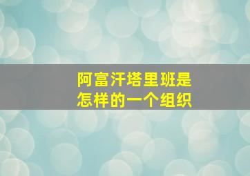 阿富汗塔里班是怎样的一个组织